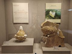 -南越王博物院(王宫展区)