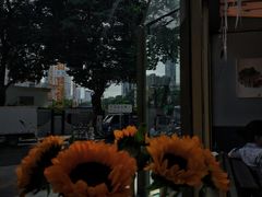 -物质生活书·酒吧