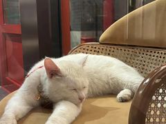 -府学·秋果S酒店(北京南锣鼓巷四合院店)
