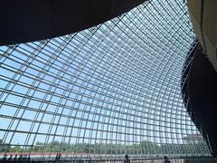 -国家大剧院