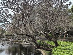 -晓港公园