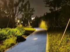 -西湖外事游船(湖滨二公园外事游船码头)