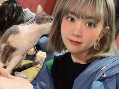 -猫色咖啡·猫咖