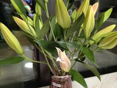 -循礼门鲜花花市(武汉循礼门店)