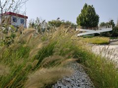 -武清南湖绿博园