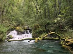 -叠溪松坪沟景区