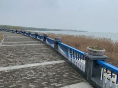 -合肥滨湖国家森林公园