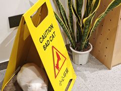 -溪岸路花鸟市场