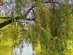 -人民公园(罗湖区)