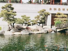 -中国唐苑