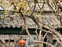 -南京市民俗博物馆(甘熙故居)