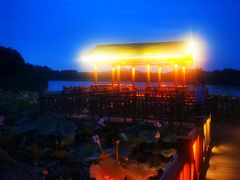 -上海市保健医疗中心