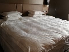 -扬州绿地铂骊酒店