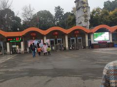-成都动物园