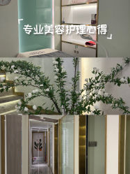 -MIDA蜜哒•科技逆龄美肤连锁