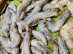 -集杰尚品海鲜烤肉自助餐厅(乳山振华店)