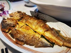 -龙泉人椰子鸡.糟粕醋.海南菜(三亚旗舰店)