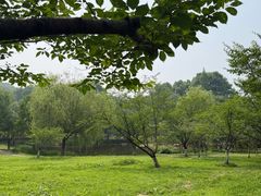 -采石矶景区