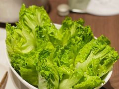 生菜胆-协成海鲜火锅(海洋花园店)