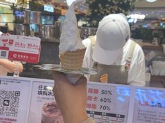 -野人先生Gelato(上海长宁龙之梦店)