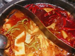 -蜀大侠火锅(总府路店)