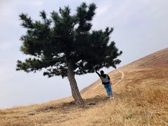 -恋山坝上草原