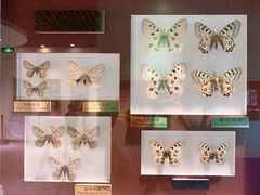 -上海昆虫博物馆