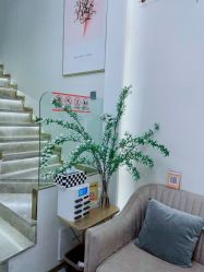 -MIDA蜜哒•科技逆龄美肤连锁