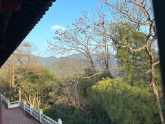-杭州林泉山庄