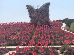 -上海鲜花港