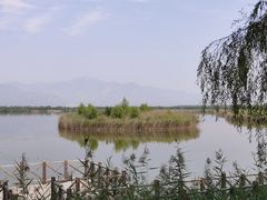 -野鸭湖国家湿地公园