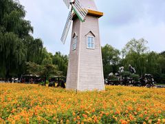 -祥源·阜阳生态乐园