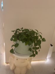-Dr.林醫生产后修复·超级店(南京江宁同曦店)