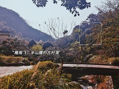 -雁南飞茶田景区