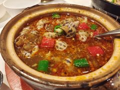 香辣花螺-粤珍轩(凤城九路店)