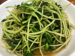 -全乐鱼馆·淳牌有机鱼直营店