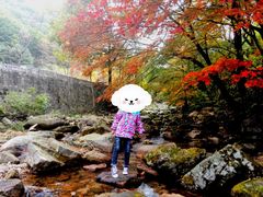 -丹东天桥沟景区