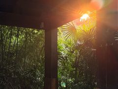 -融汇温泉