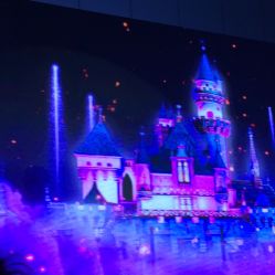 -上海浦东喜来登由由大酒店·宴会厅