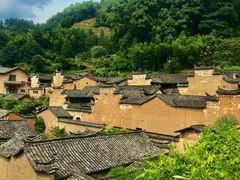 -杨家堂村