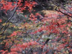 -丹东天桥沟景区