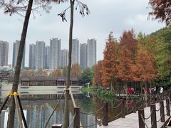 -重庆彩云湖湿地公园