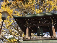 -医王山·飞騨国分寺