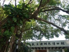 -鼓浪屿钢琴博物馆