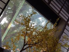 -上足·影院足道·SPA(红岭店)