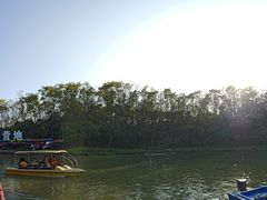 -上海海湾国家森林公园