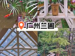 -广州兰圃