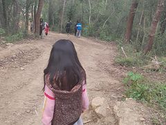 -青龙山国家森林公园
