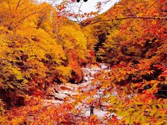 -光雾山旅游景区