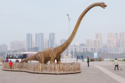 -恐龙探索乐园(磁器口店)
